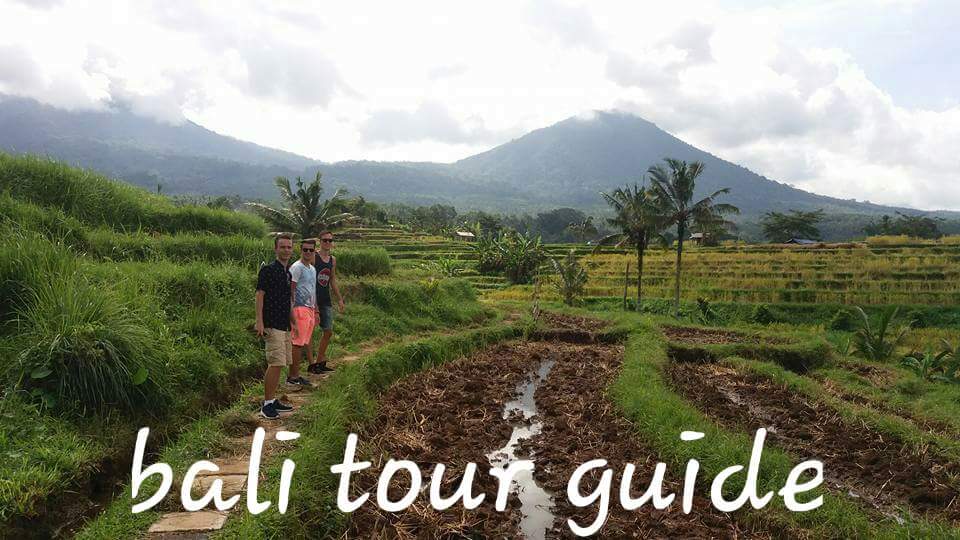 bali tour guide association