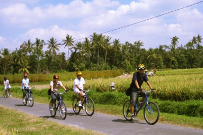 Bali Cycling Kintamani Tour